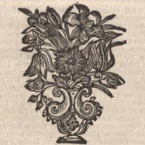 Archivio Dinamico